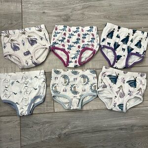 Hanna Andersson frozen 2 underwear